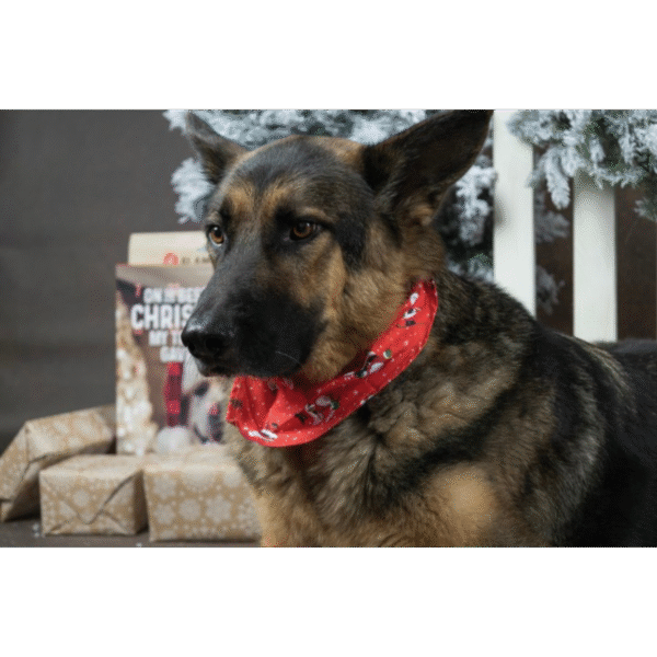 522398_S_01 KERST BANDANA ROOD 60x31CM