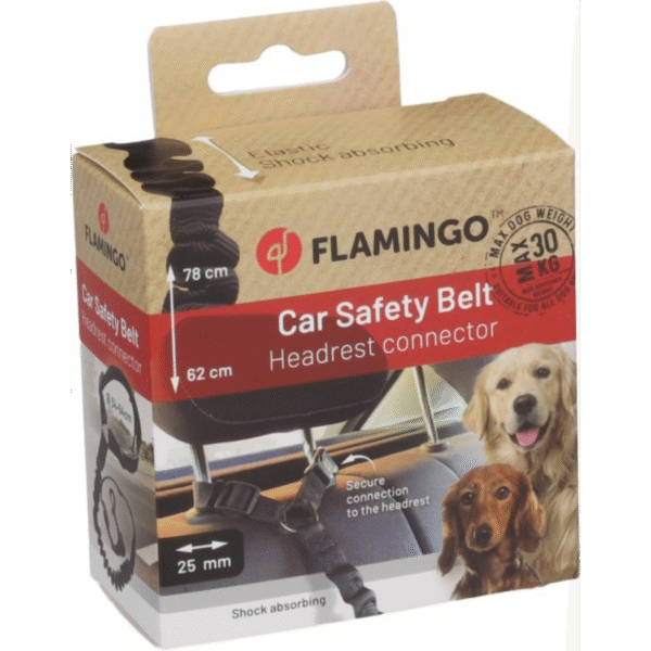 524914_V_01 Autolijn Ramone