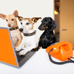 Akyra - Lamslong hapjes