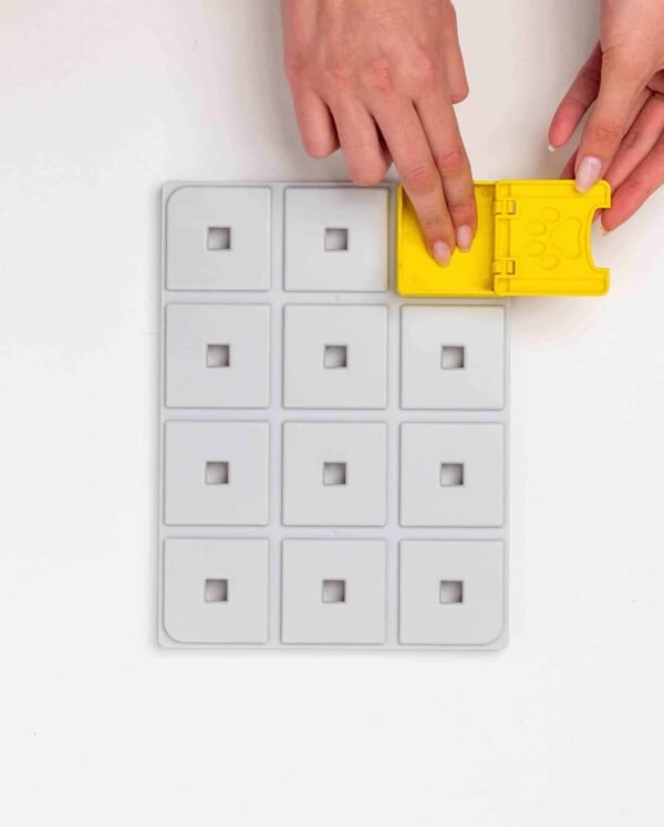 Pawzler - Base 3 Pawzler - Base 3