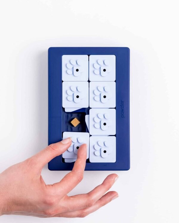 Pawzler - Louvre hand