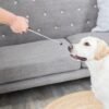 366044_09-1 Trixie dog activity target stick aanwijsstok assorti – 14-65 cm