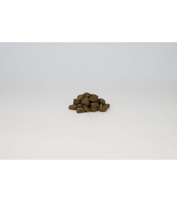 frenchy-la-friandise-bucco-dentaire (2) FRENCHY – THE DENTAL TREAT