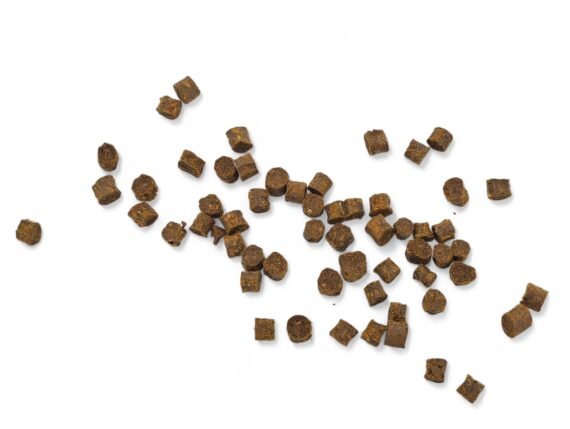 Canis-Purus-Baltische-Haring-blokjes_004-570x429 Canis Purus Baltische Haring Blokjes